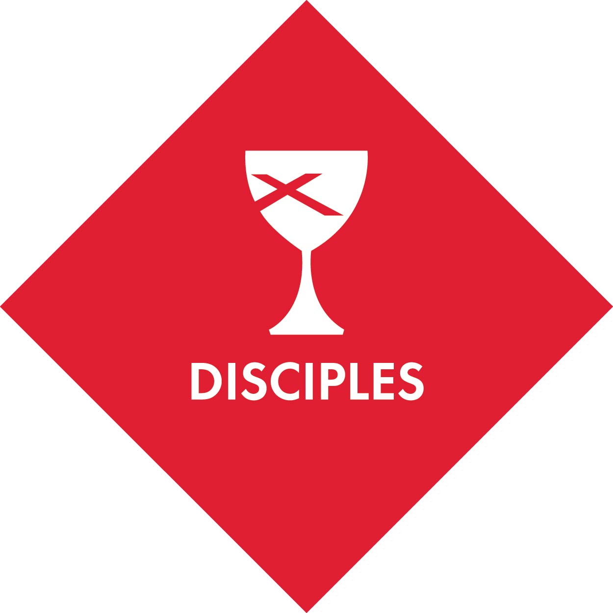 about disciples